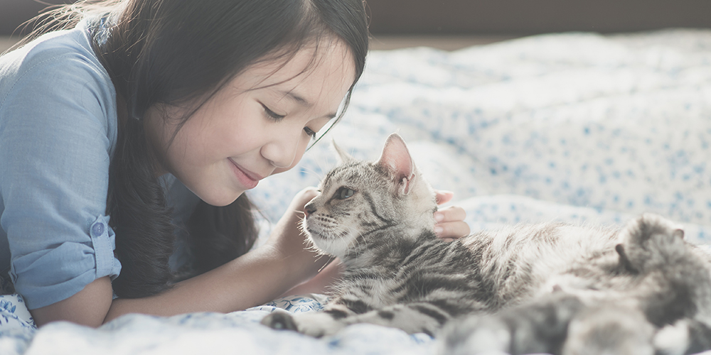 飼い主様へ