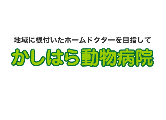 地域に根付いたホームドクターを目指して かしはら動物病院