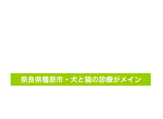 奈良県橿原市・犬と猫の診療がメイン