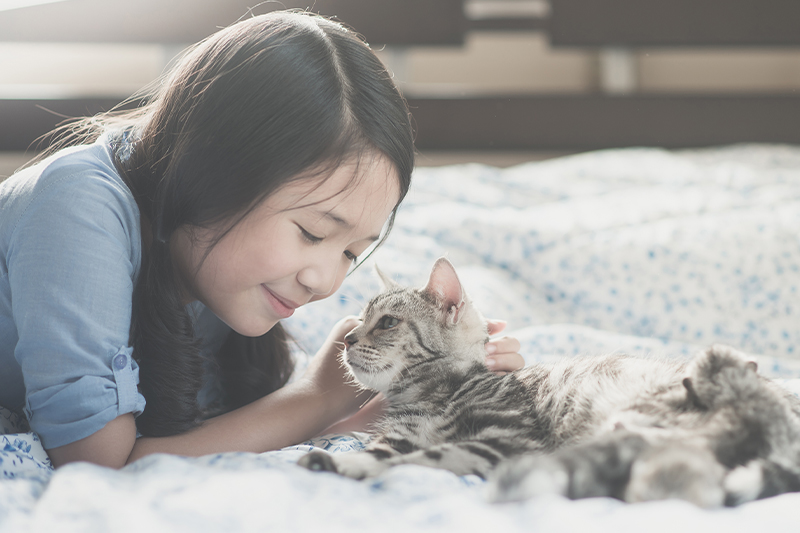 飼い主様へ